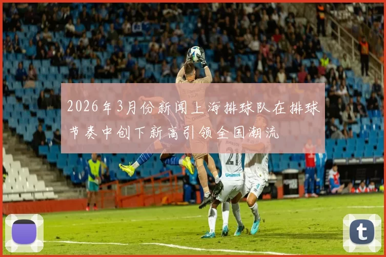 2026年3月份新闻上海排球队在排球节奏中创下新高引领全国潮流